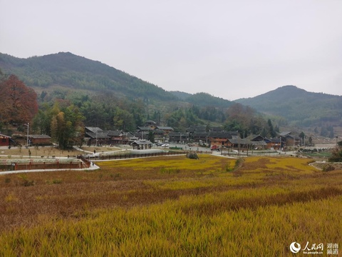 湖南邵阳:通村通组扶贫路 串起乡村致富路(3) 第3页