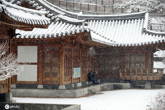 韩国首尔降大雪 全城银装素裹白茫茫(2) 第2页