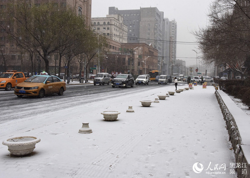 哈尔滨市迎来立冬后首场降雪 跟随镜头感受北国冰雪风光(4) 第4页