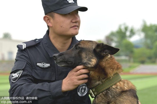 警犬“杰克”的训练课 第1页