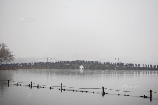 杭州降雪 西湖断桥又现“人山人海”(2) 第2页