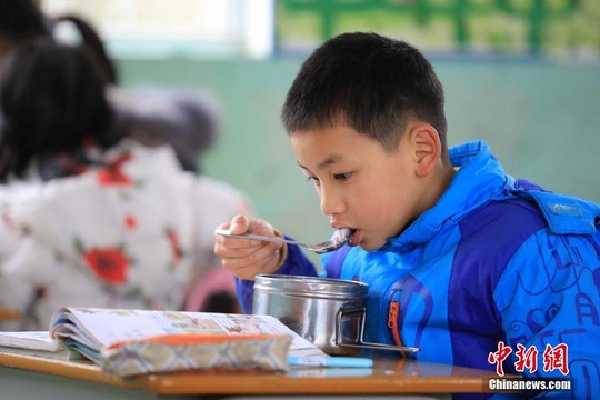 广西柳州免费午餐惠及近千所学校(6) 第6页