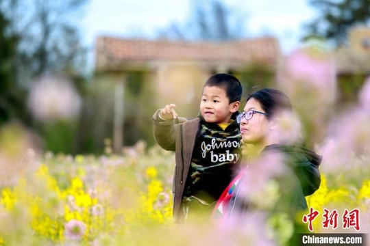 福建妈祖故里:多彩油菜花绚丽绽放(3) 第3页