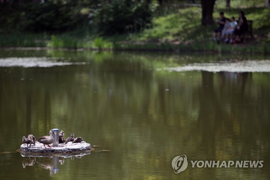 韩国首尔林公园夏季绿色盎然 吸引市民前往纳凉(14) 第14页