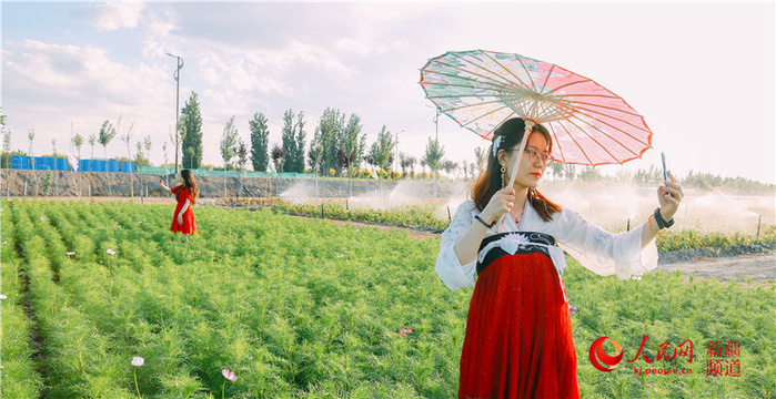 7月花开,来乌尔禾千亩海棠林花海中徜徉(组图)(7) 第7页