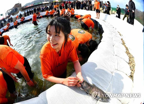 寒冬穿短袖在冰河徒手抓鱼 韩国华山山川鱼庆典还能这样玩【组图】(4) 第4页