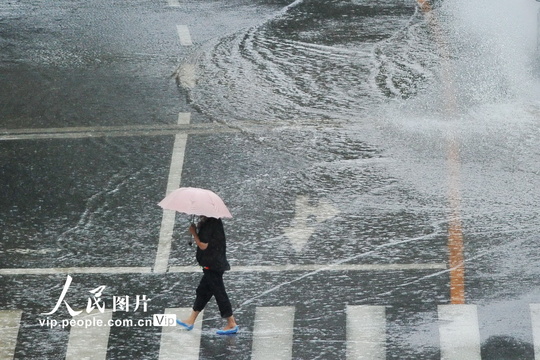 大连市遭遇雷雨大风天气(3) 第3页