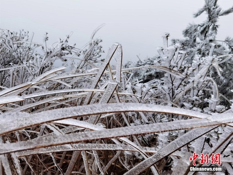 福建宁德迎今冬首场雾凇冰挂(4) 第4页