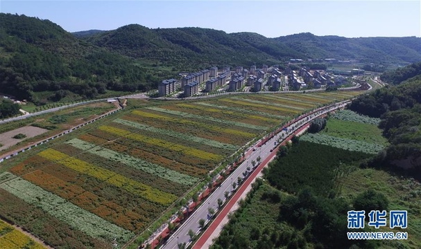 初秋时节南泥湾 花满河谷绿满山 第1页