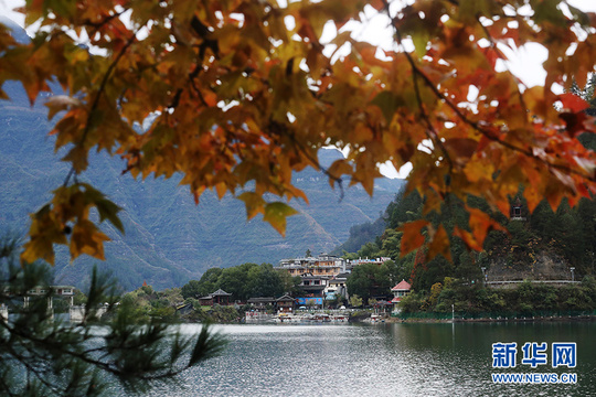 初冬时节枫叶红 黔江小南海“枫”景如画 第1页