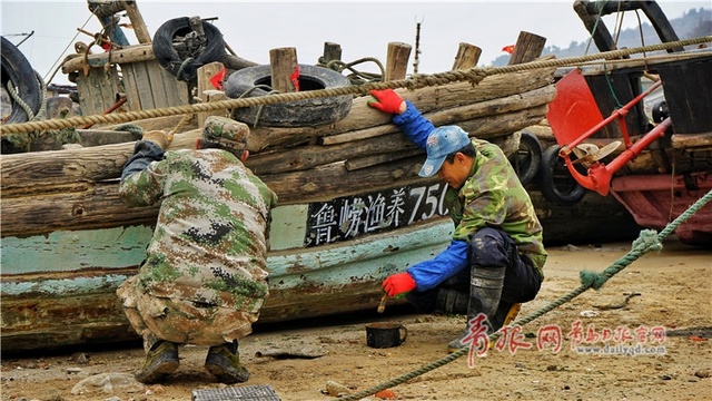 三月惊蛰 青岛海边地头一片繁忙景象(5) 第5页