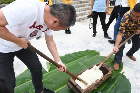 溯源高峰布e稻,探寻一粒米的成长(22) 第22页