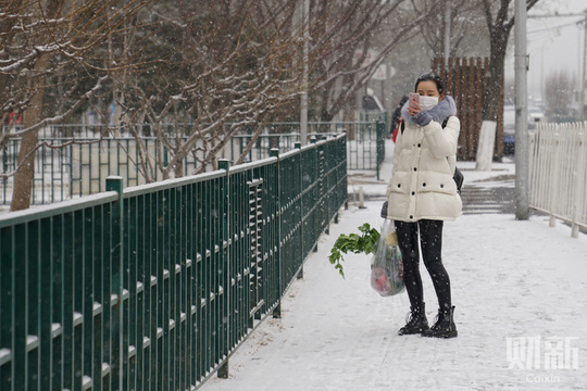 北京降雪节后“开工” 雪中京城银装素裹(21) 第21页