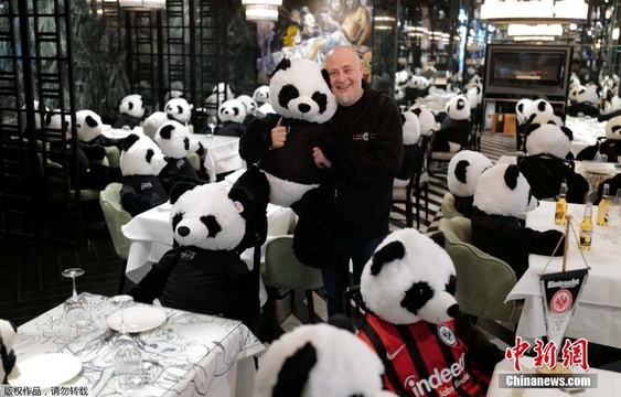 德国持续“封城” 餐厅老板摆满大熊猫玩偶当顾客 第1页