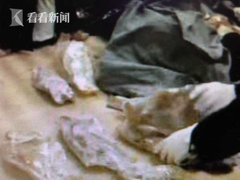 上海海关截获一批走私鱼鳔 市值高达上千万元 第1页