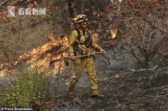 美国加州山火肆虐 包括2名消防员在内的6人死亡(4) 第4页