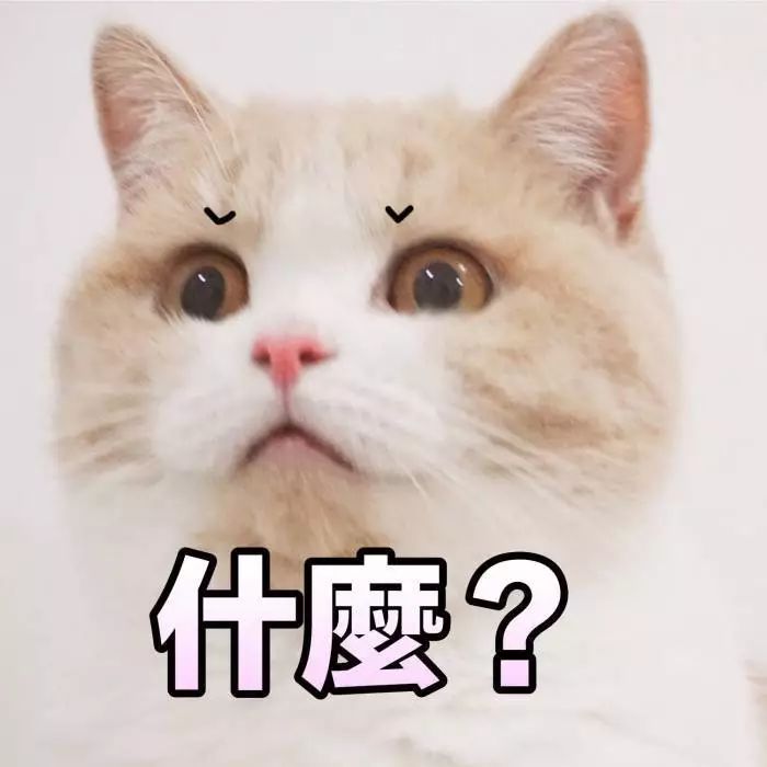 水原希子 搜狗表情搜索