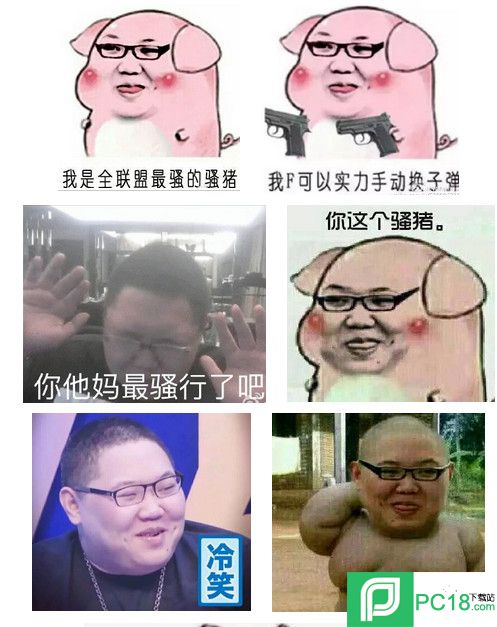 九蛙图片 表情jpg,300x300,231kb,300_300你这个骚猪表情包下载 你