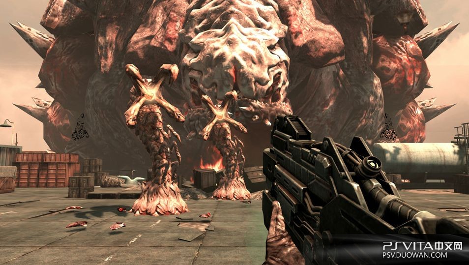 抵抗 燃烧天空 美版