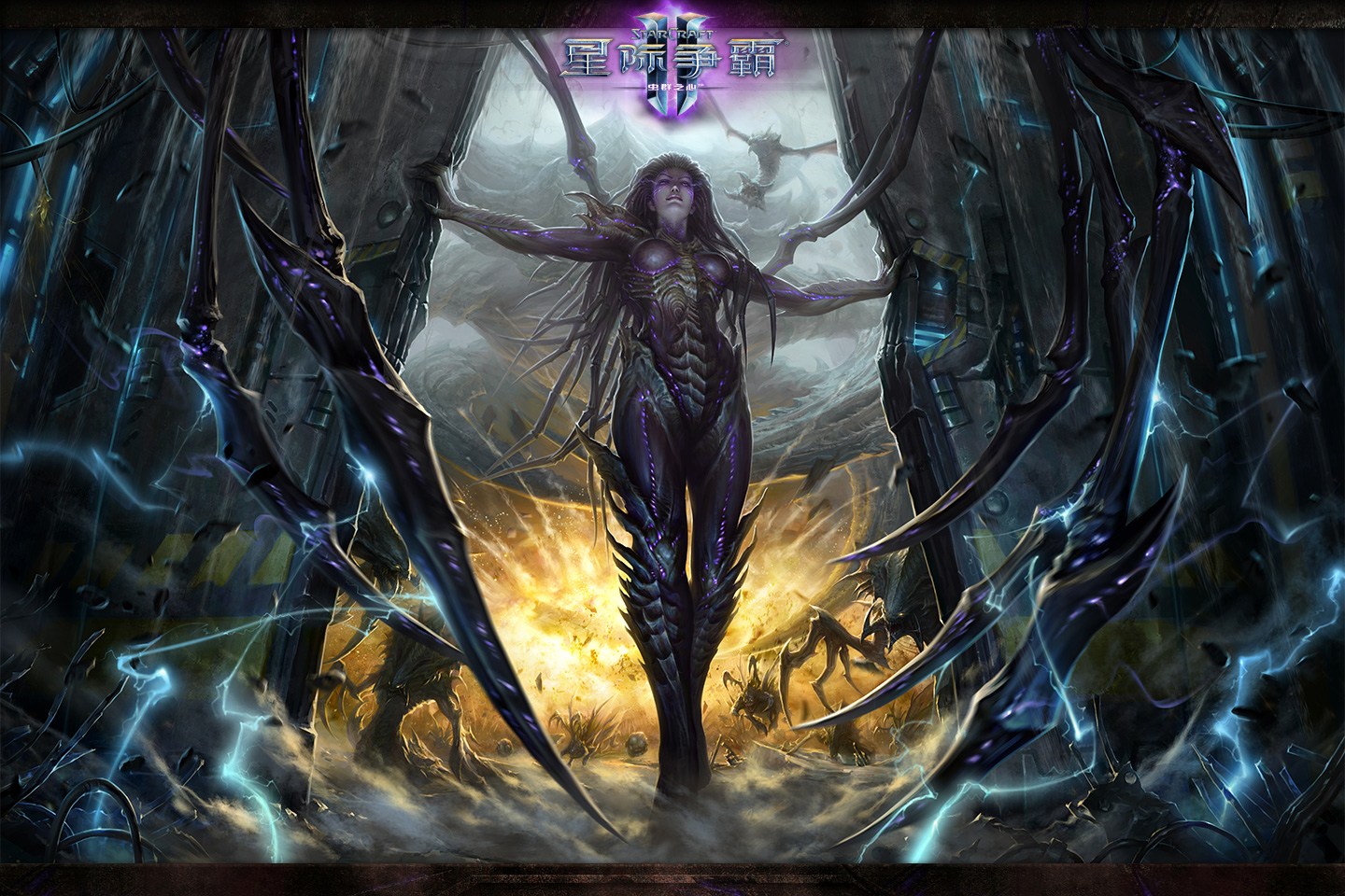 星际争霸2:虫群之心台版官方客户端