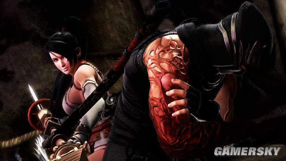 忍者龙剑传∑  日版