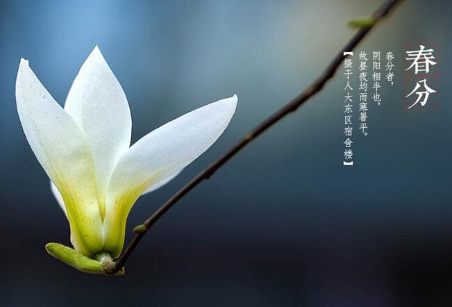 “苗绘”节气!春分:一影连古今 千线系未来