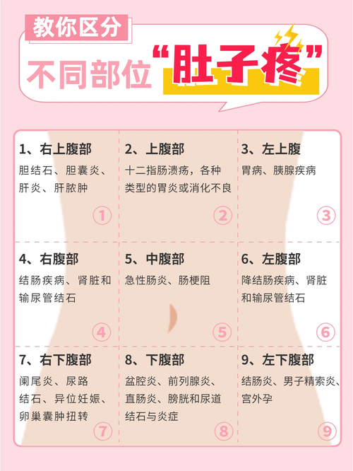 胰腺炎是哪个部位疼