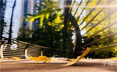 湖北教师退休工资如何计算