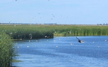 环境污染事故等级分为几类,有哪些标准