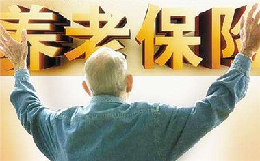 浙江省一次性补交养老保险有什么规定