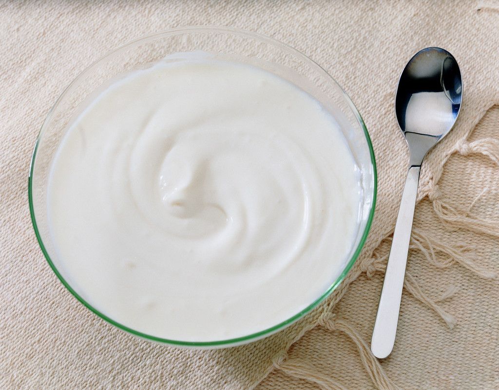 利用生物知识做出来的最简单酸奶怎么做_利用生物知识做出来的最简单酸奶的做法_豆果美食
