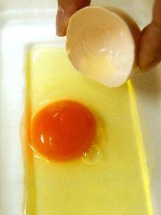 苏丹红鸡蛋图片图片