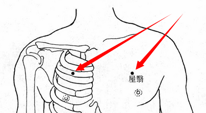 腋缝透胛缝位置图图片