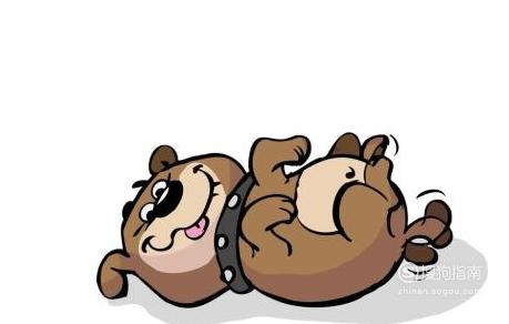 2018年出生的狗宝宝是什么命? 大师来详解