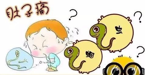 成人肚子里有蛔虫时可能有哪些症状你值得一看的技巧