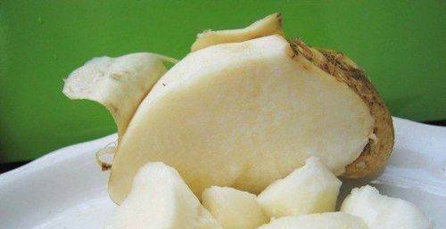 凉薯热量高吗 吃凉薯会胖吗 这些经验不可多得 - 天晴经验网