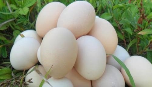 苏丹红鸡蛋怎么辨别 详细始末 - 天晴经验网