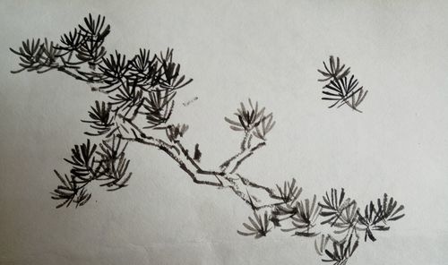 国画松针的画法 懂得这些技巧就够了