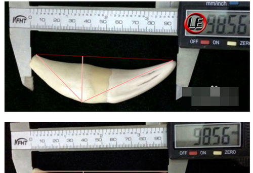 虎牙怎么分辨真假你需要学习了