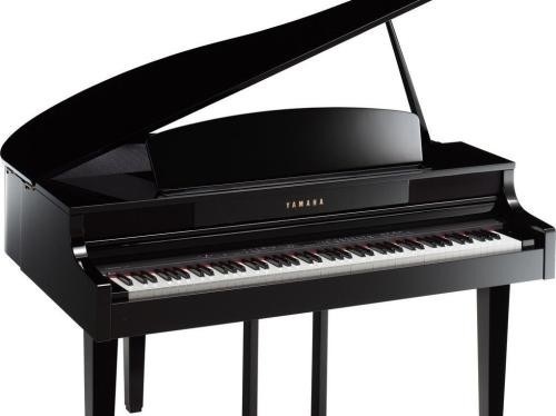 怎么自学钢琴 划重点了