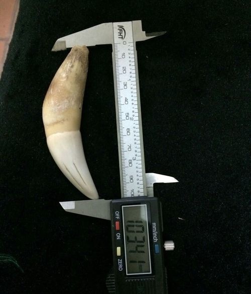 虎牙怎么分辨真假你需要学习了