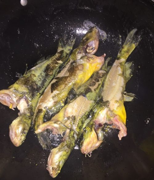 黄蜂鱼钢针鱼的做法,需要技巧