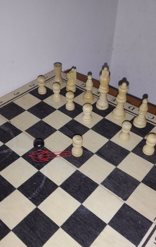 国际象棋入门教程教你怎么玩国际象棋来看看吧