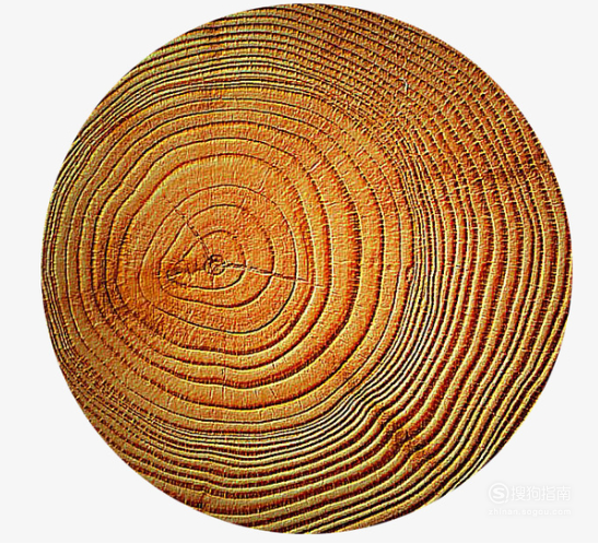 大自然的指南针有哪些大神这样说