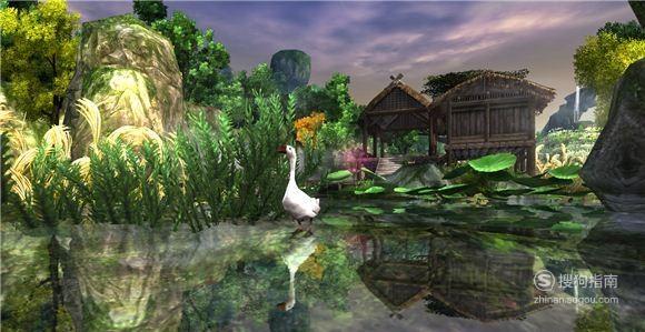 剑三宠物大头鹅获取攻略,这些知识你不一定知