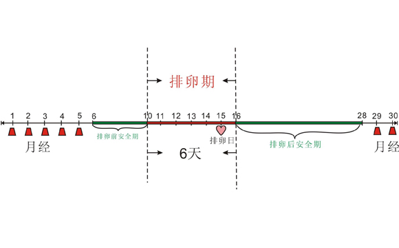 排卵期體溫變化圖具體情況