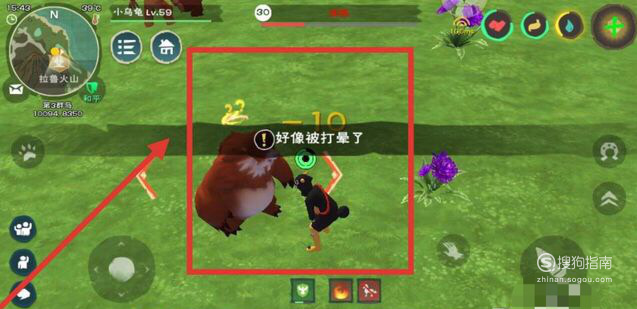 创造与魔法雪原熊大位置以及捕捉攻略