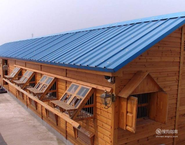 怎么盖简单的鸽舍重点来了