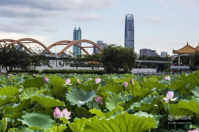 深圳好玩的地方帶你玩轉深圳20個免費好玩景點