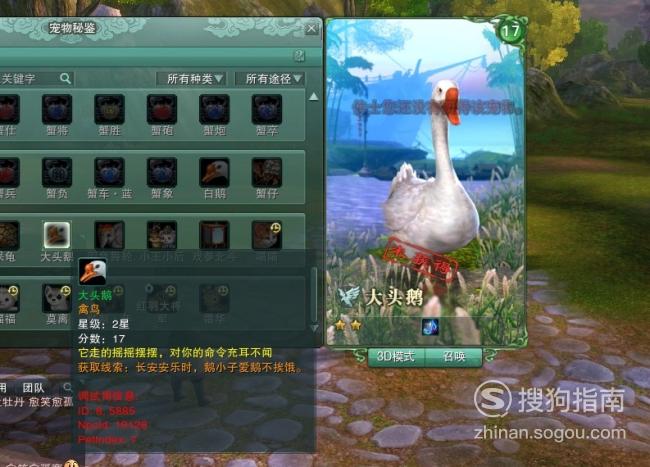剑三宠物大头鹅获取攻略,这些知识你不一定知